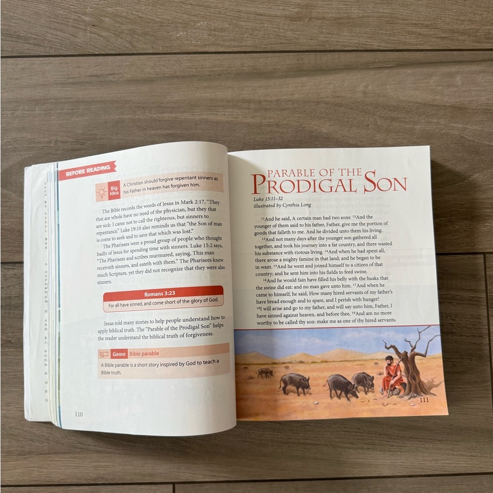 BJU Press Reading 4 Voyages Book homeschool - Picture 4 of 4